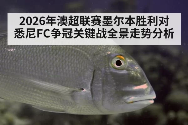 2026年澳超联赛墨尔本胜利对悉尼FC争冠关键战全景走势分析