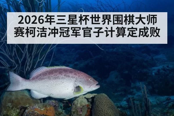 2026年三星杯世界围棋大师赛柯洁冲冠军官子计算定成败